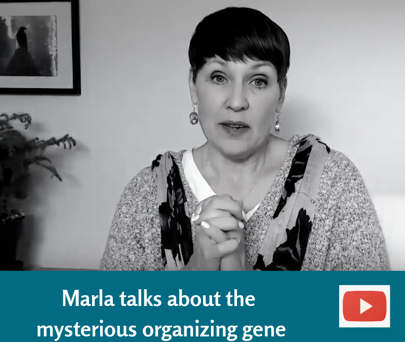 Were you born with the organizing gene?